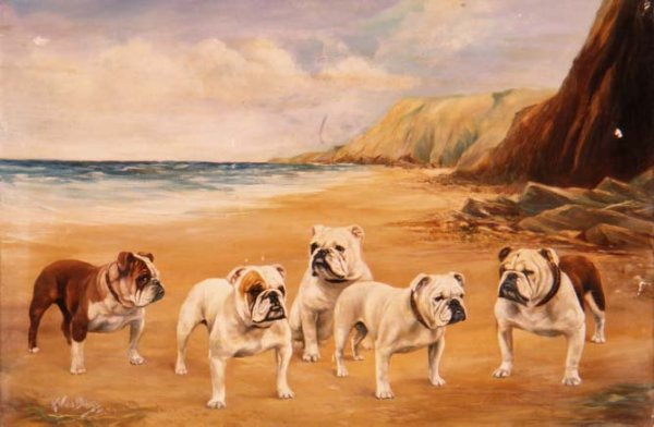 A Quintet of Bulldogs on a Beach