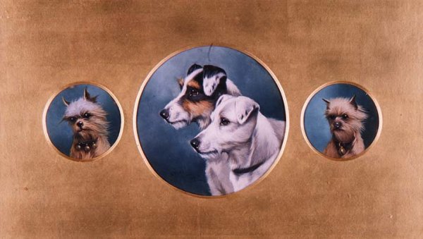 Fox Terriers and Yorkshire Terriers, 1905