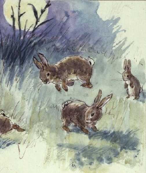 Illustration from the Busy Bunny Book