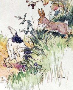 Illustration from the Busy Bunny Book