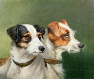 Two Fox Terriers, 1898